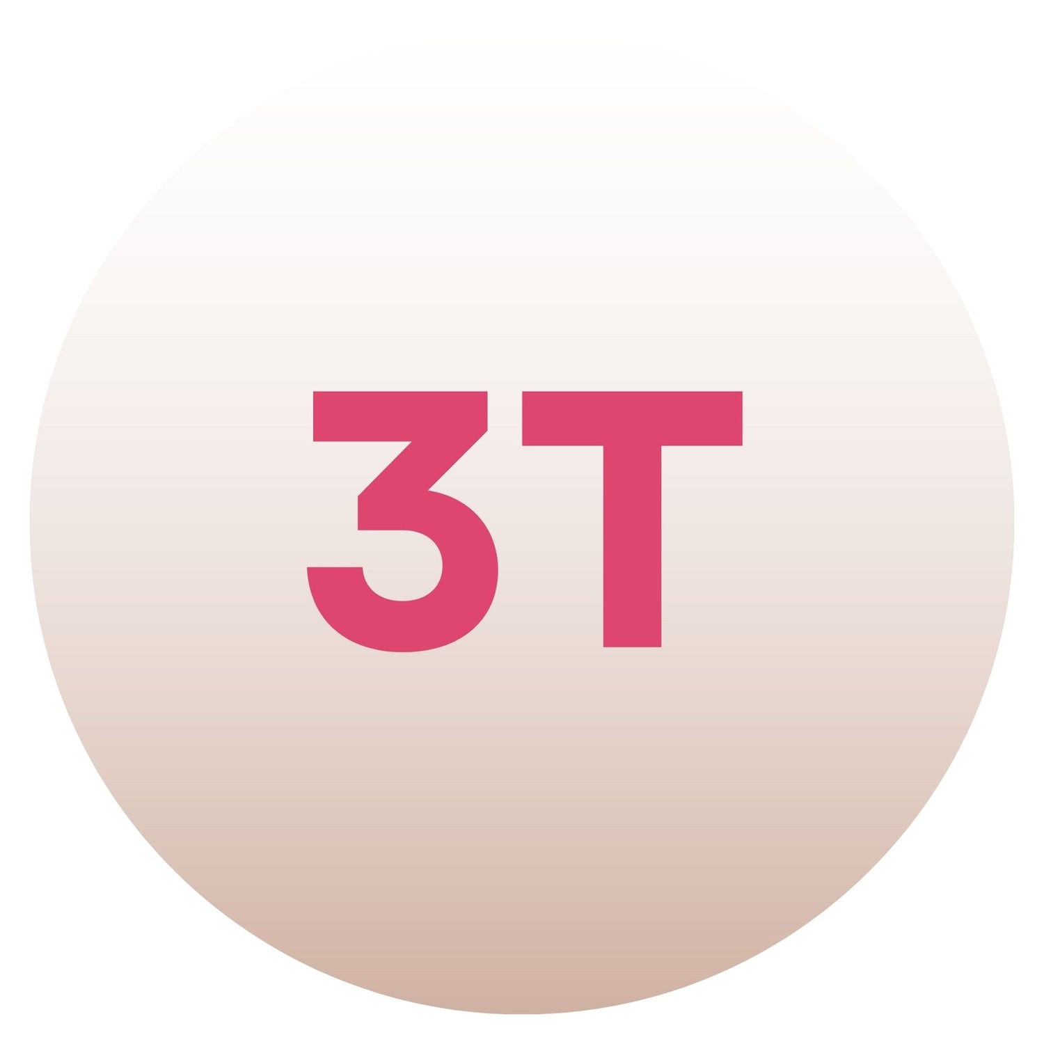 3T